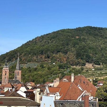 Modernes City-Appartement Neustadt an der Weinstraße Dış mekan fotoğraf